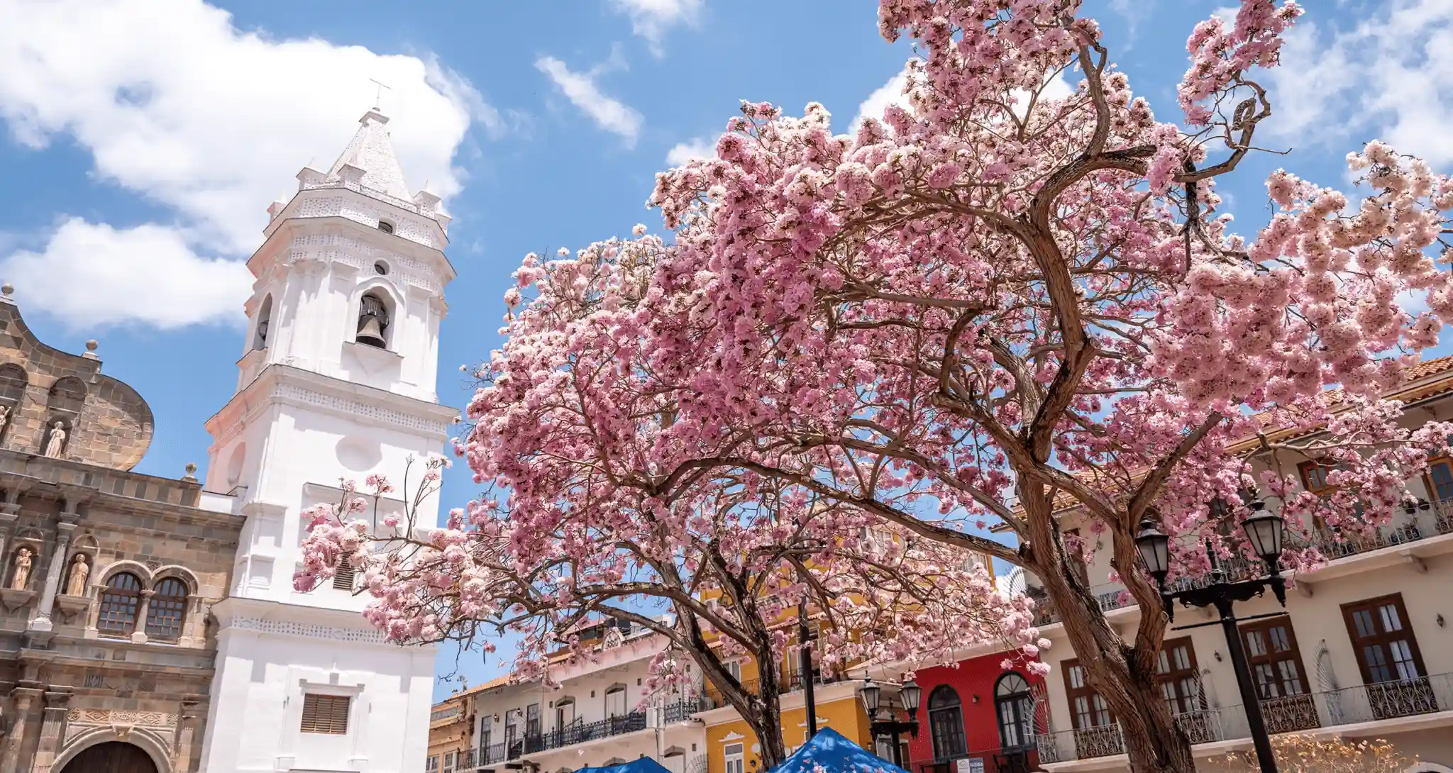 Casco Antiguo